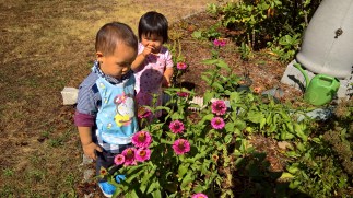 WP_20171004_12_20_38_Pro